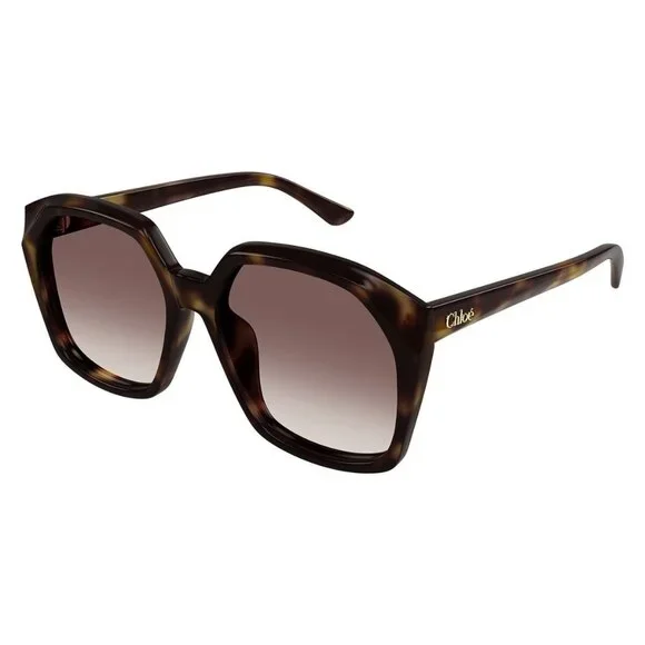 New CHLOE Havana Square CH0280S 006 Sunglasses Women - Picture 1 of 4